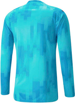 PUMA Heren Teamtarget keepershirt met lange mouwen (Blauw)