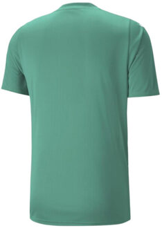 PUMA Heren teamultimate trui Groen - S
