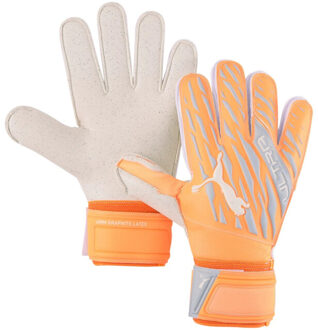 PUMA Heren ultra protect 2 rc keepershandschoenen Grijs - 9+