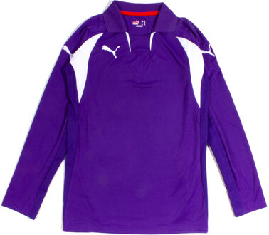 PUMA Heren Violet V-Kat Lange Mouw Sport Top Paars