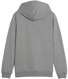 PUMA Kinder/kids team goal casuals hoodie Grijs - 140