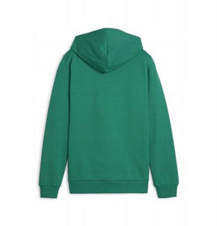 PUMA Kinder/kids team goal casuals hoodie Groen - 152