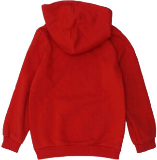 PUMA Kinder/kinder dct hoodie Rood - 116