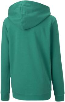 PUMA Kinderen Casual Hoodie Groen - 7-8J / 122-128cm