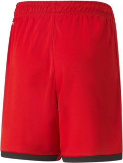 PUMA Kinderen/Kinderen Girona Fc Replica Shorts (Rood) - 7-8J / 122-128cm