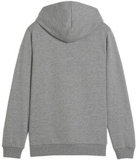 PUMA Kinderen/kinderen team goal casual hoodie Grijs - 140