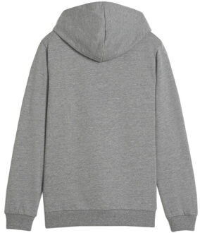 PUMA Kinderen/kinderen team goal casual hoodie Grijs - 152