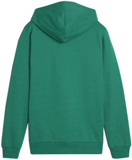 PUMA Kinderen/kinderen team goal casual hoodie Groen - 140