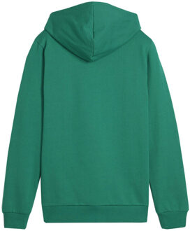 PUMA Kinderen/kinderen team goal casual hoodie Groen - 164