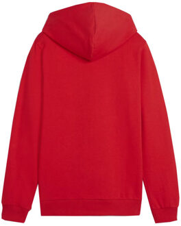 PUMA Kinderen/kinderen team goal casual hoodie Rood - 164