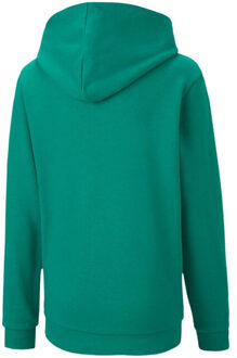 PUMA Kinderen/kinderen teamgoal 23 casual hoodie Groen - 140