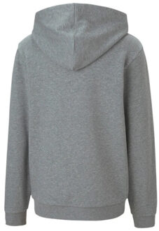 PUMA Kinderen/kinderen teamgoal 23 casual hoodie - maat 116 Grijs