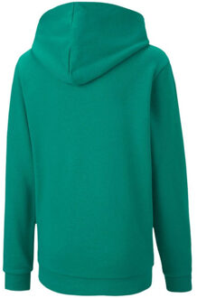 PUMA Kinderen/kinderen teamgoal 23 casual hoodie - maat 128 Groen