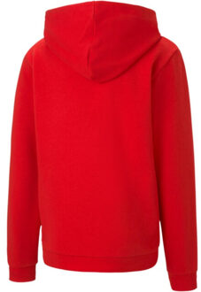 PUMA Kinderen/kinderen teamgoal 23 casual hoodie Rood - 116