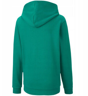 PUMA Kinderen/kinderen teamgoal 23 hoodie Groen - 128