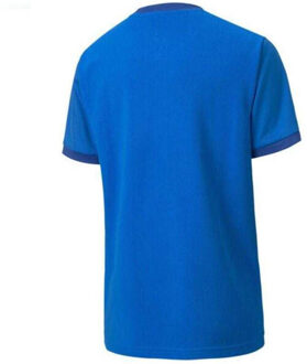 PUMA Kinderen/kinderen teamgoal t-shirt - maat 146/152 Blauw