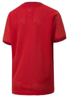 PUMA Kinderen/kinderen teamgoal t-shirt Rood - 116