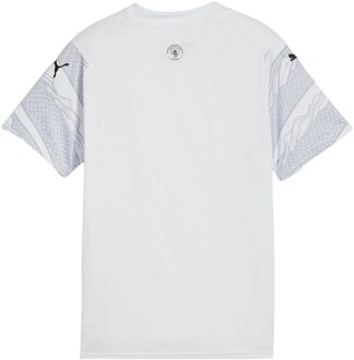 PUMA Kinderen Manchester City FC Graphic Voetbalshirt (Zilver/Blauw)
