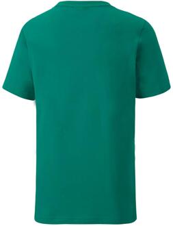 PUMA Kinderen TeamGoal 23 Casuals T-shirt (Groen)