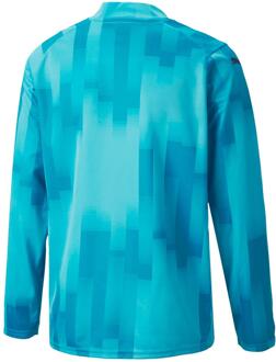 PUMA Kinderen Teamtarget Langsleeve Doelman Shirt (Blauw)