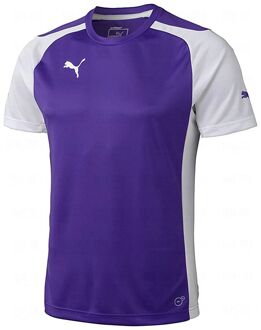 PUMA Korte Mouw Ronde Hals Paars Heren T-shirt 701906 10