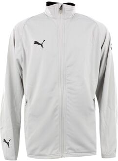 PUMA Lange Mouw Zip Up Grafisch Logo Lichtgrijs Kinder Track Jacket 650539 01