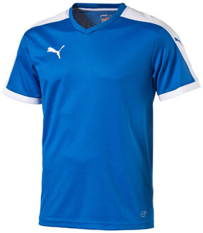PUMA Pitch Shortsleeved Shirt Heren Sportshirt - Maat L  - Unisex - blauw/wit