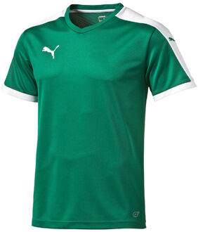 PUMA Pitch Shortsleeved Shirt power green/white - L