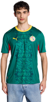 PUMA Senegal Truien/Replica's Heren - Groen - Maat L - Poly Jersey Green