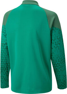 PUMA Teamcup jack voor kinderen (Groen) - 9-10J / 134-140cm