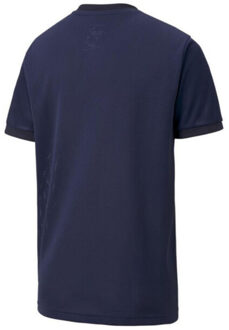 PUMA Teamgoal 23 jersey voor kinderen/kinderen Blauw - 140