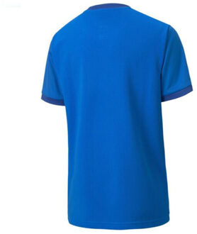 PUMA Teamgoal 23 jersey voor kinderen/kinderen Blauw - 140