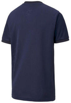 PUMA Teamgoal 23 jersey voor kinderen/kinderen Blauw - 158/164