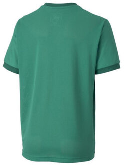PUMA Teamgoal 23 jersey voor kinderen/kinderen Groen - 140
