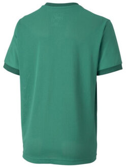 PUMA Teamgoal 23 jersey voor kinderen/kinderen Groen - 146/152