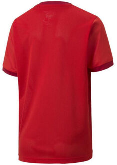 PUMA Teamgoal 23 jersey voor kinderen/kinderen Rood - 170/176
