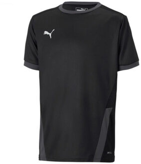 PUMA Teamgoal 23 jersey voor kinderen/kinderen Zwart - 140