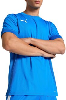 PUMA TeamGOAL Matchday Shirt Heren - L