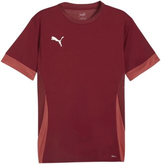 PUMA TeamGOAL Matchday Shirt Heren - XL