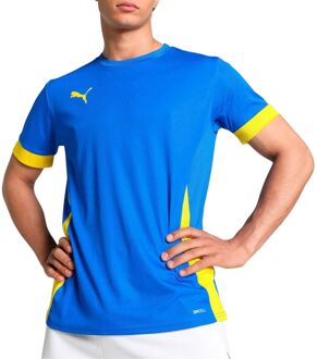 PUMA TeamGOAL Matchday Shirt Heren - XL
