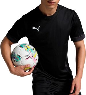 PUMA TeamGOAL Matchday Shirt Heren - XXL