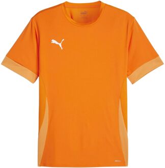 PUMA TeamGOAL Matchday Shirt Heren