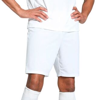 PUMA TeamGOAL Short Heren - XXL