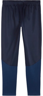 PUMA Teamgoal training pant Blauw - M