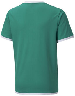 PUMA Teamliga-trui voor kinderen Groen - 146/152