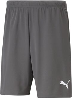 PUMA teamRISE Short Heren grijs - L