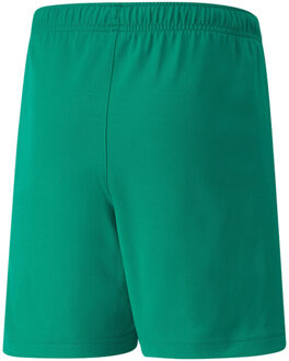 PUMA Teamrise shorts voor kinderen Groen - 116