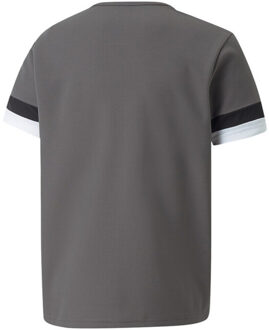 PUMA Teamrise-trui voor kinderen - maat 158/164 Grijs