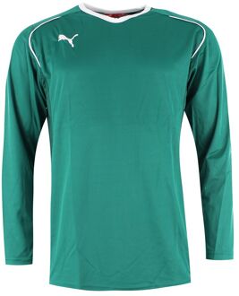 PUMA V5.08 Lange Mouw V-Hals Groen Heren Voetbal Top 700472 05M - maat S