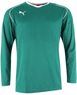 PUMA V5.08 Lange Mouw V-Hals Groen Kindervoetbal Top 700472 05